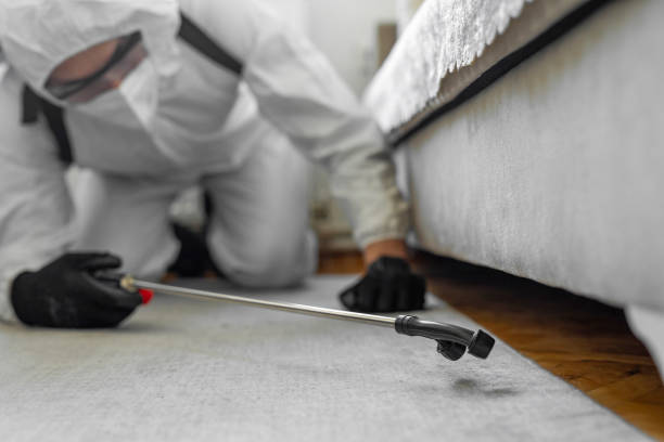 Professional Bed Bug Control technician working in Sundance, WY